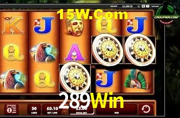 Platform Technology 289Win