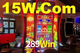 Programa VIP 289Win